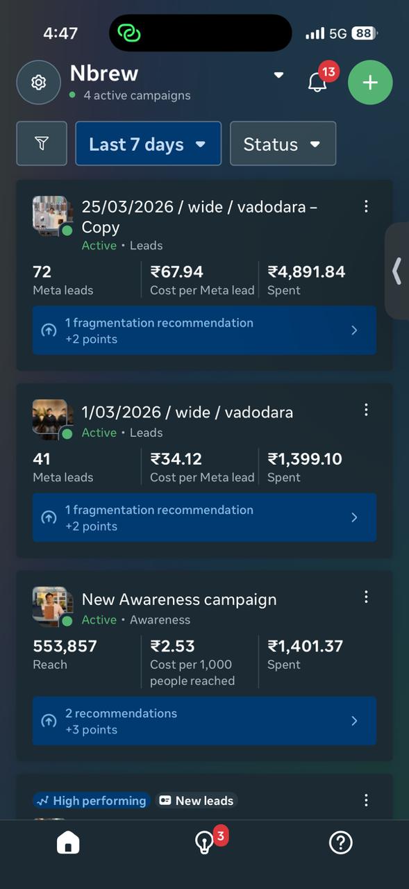 Meta Ads dashboard — 113 leads